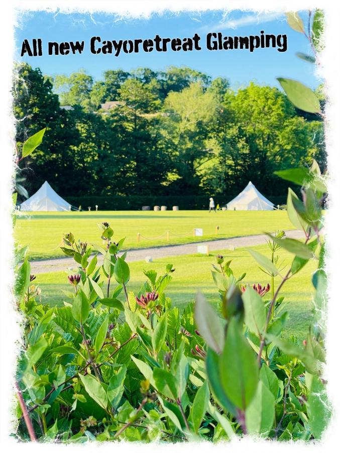 Cayoretreat Luxury Bell Tent Luxury tent *