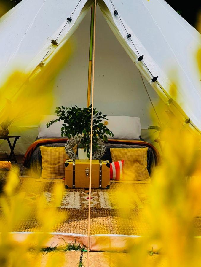 Cayoretreat Luxury Bell Tent Clodock