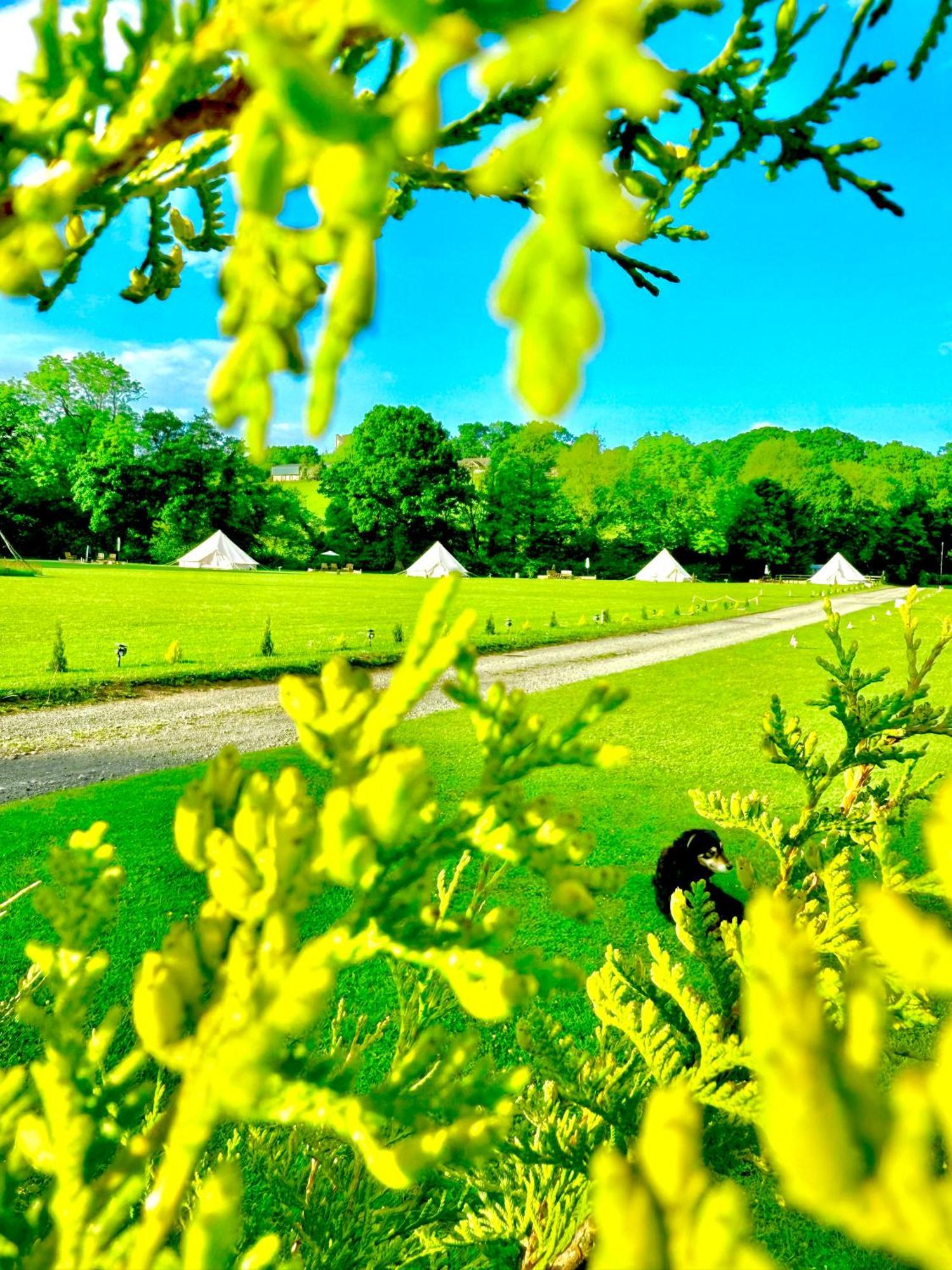 Cayoretreat Luxury Bell Tent *